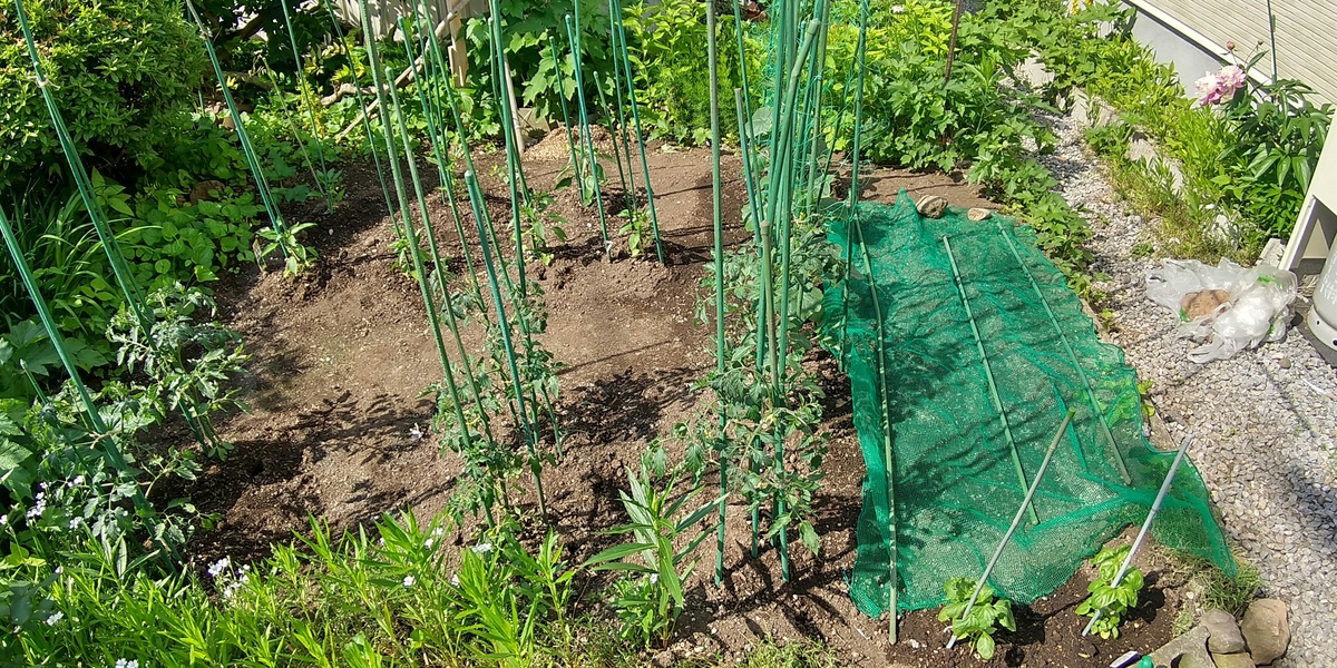 我が家の野菜たち　リフォーム・リノベーション　函館
