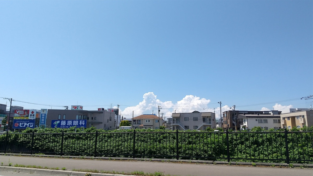 家庭菜園～ものすごいすくすく　　リフォームショップ　函館