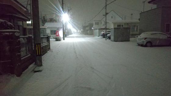 あと１０日で今年も終わり、、、函館は雪が降っては解けるの繰り返し