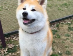 ７月入社致しました、佐藤と申します！！