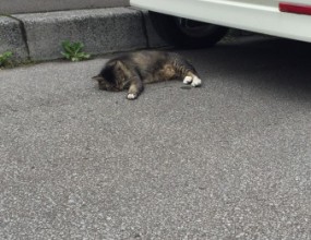 家族でお出かけ♪