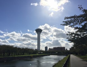 ヤギと鴨と時々営業さん